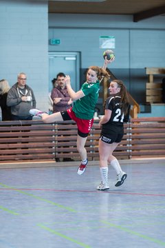 Bild 246 - F HSG Kre/Mue - HFF Munkbrarup : Ergebnis: 49:20